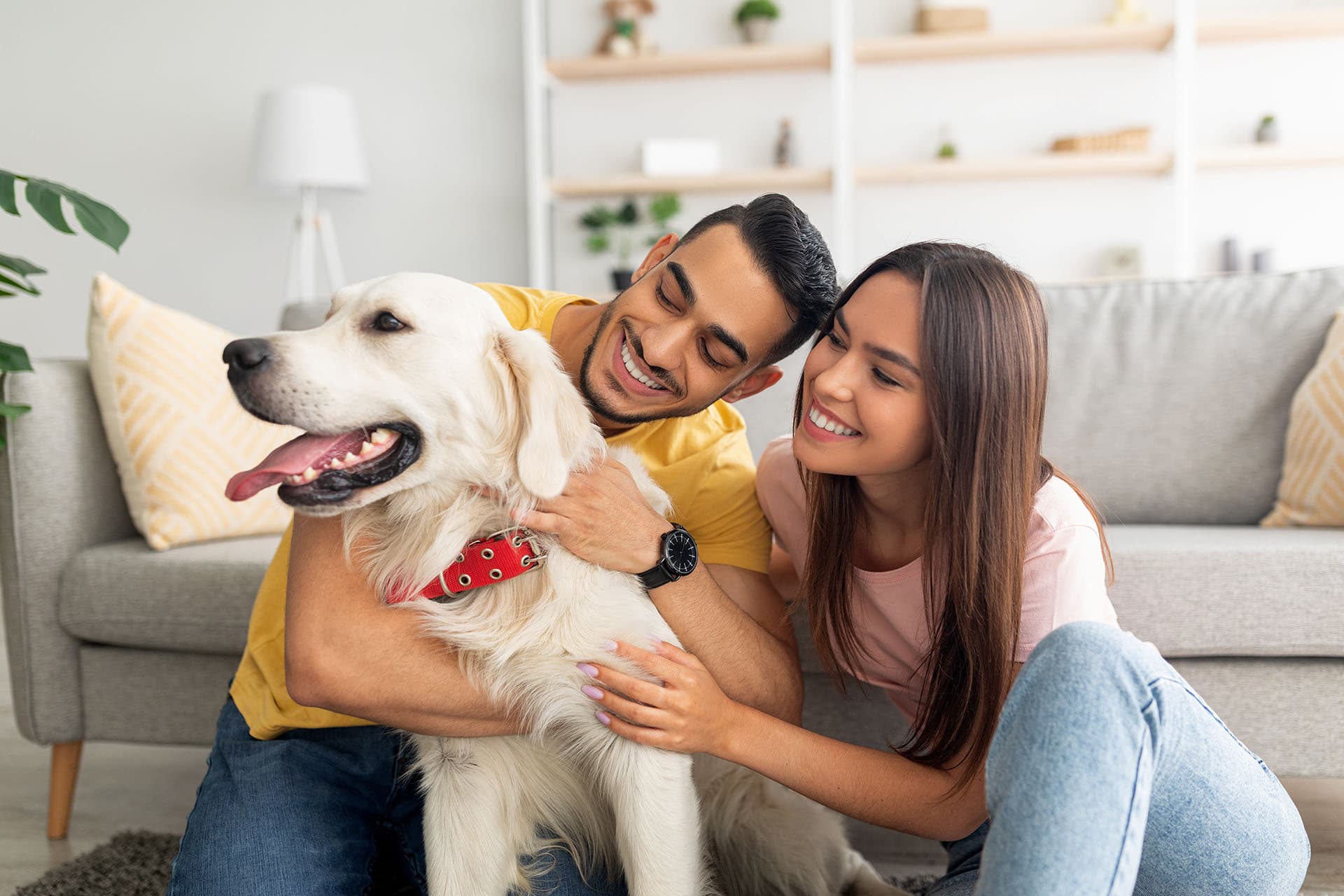 Letting and Property Management in Bulwell